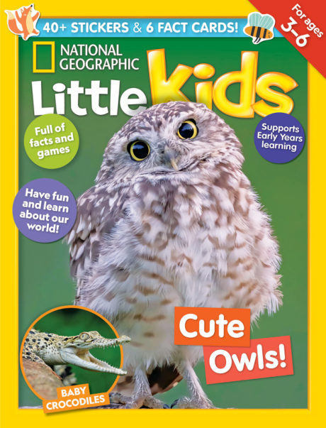 National Geographic Little Kids — Issue 22 2024